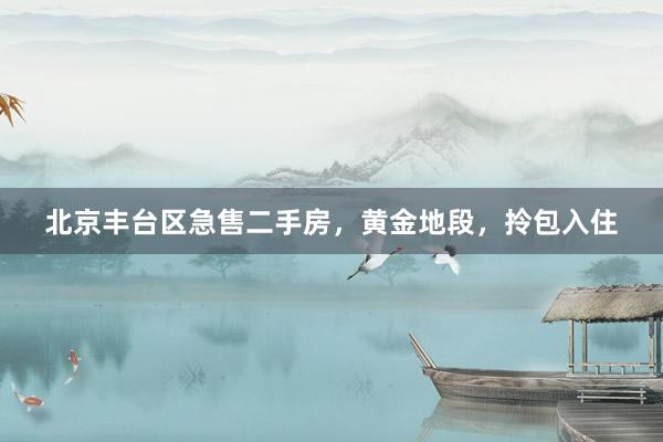 北京丰台区急售二手房,黄金地段,拎包入住
